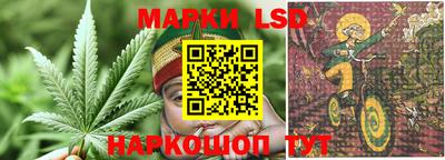 скорость Кингисепп