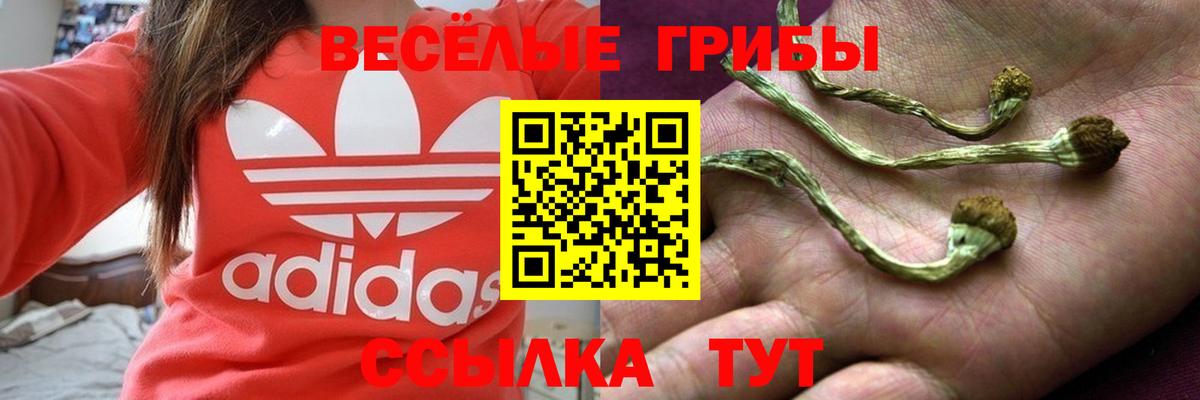 Галлюциногенные грибы Psilocybine cubensis  Вход с VPN  Ярославль 